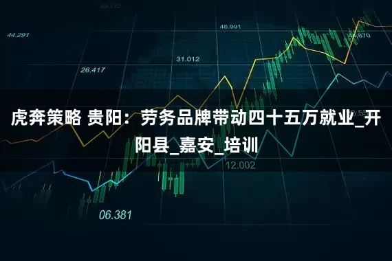 虎奔策略 贵阳：劳务品牌带动四十五万就业_开阳县_嘉安_培训