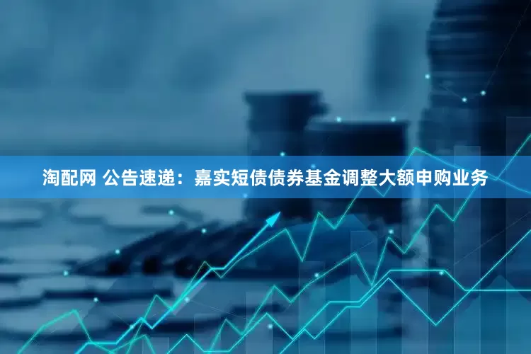 淘配网 公告速递：嘉实短债债券基金调整大额申购业务