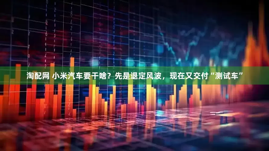 淘配网 小米汽车要干啥？先是退定风波，现在又交付“测试车”